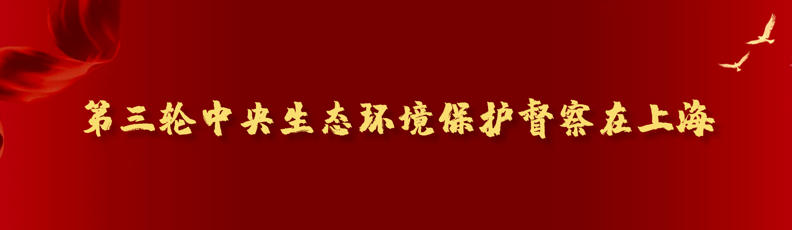第三輪中央生態(tài)環(huán)境保護督察在上海